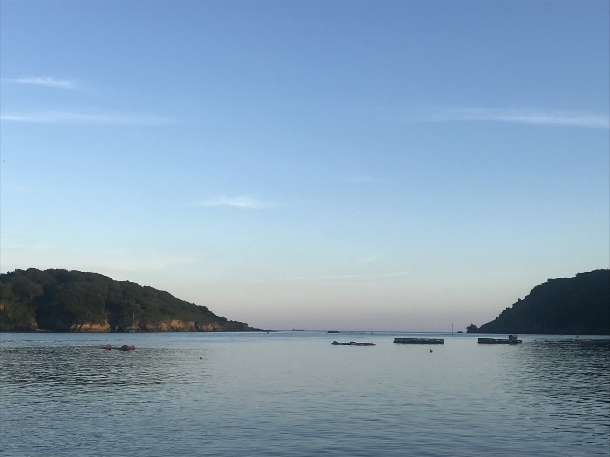 Salcombe Live Festival tweet media