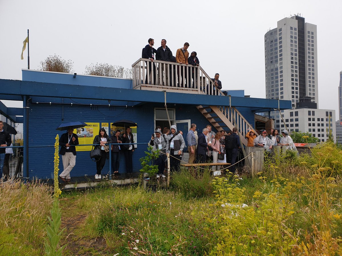 Slimdak010's tweet photo. 3 x #livinglabs on the @d_akkers and the @Slimdak010 3 x groups of enthusiastic #resilientcityworkers from all over the world ... for the #100RCsummit #urbanresiliencesummit organized by @100ResCities & @ResilientRdam about #rooftopfarming #food #waterretention #smartroofs https://t.co/5i2yEFGAp7