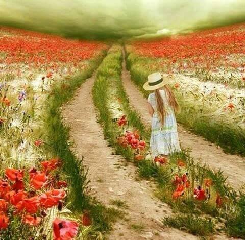 Hiç bir insanı unutmak, bir insandan vazgeçmek,Hani ölmüş gibi, hani uzatsan da elini tutamayacağını bilmek gibi.Her an kapından içeri gülümseyerek gireceğini bekleyip ama aslında,hiç gelmeyeceğini bilmen gibi. Ne zor şey değil mi ölmediğini bilmek,Ama ölmüş gibi ulaşılmaz olması