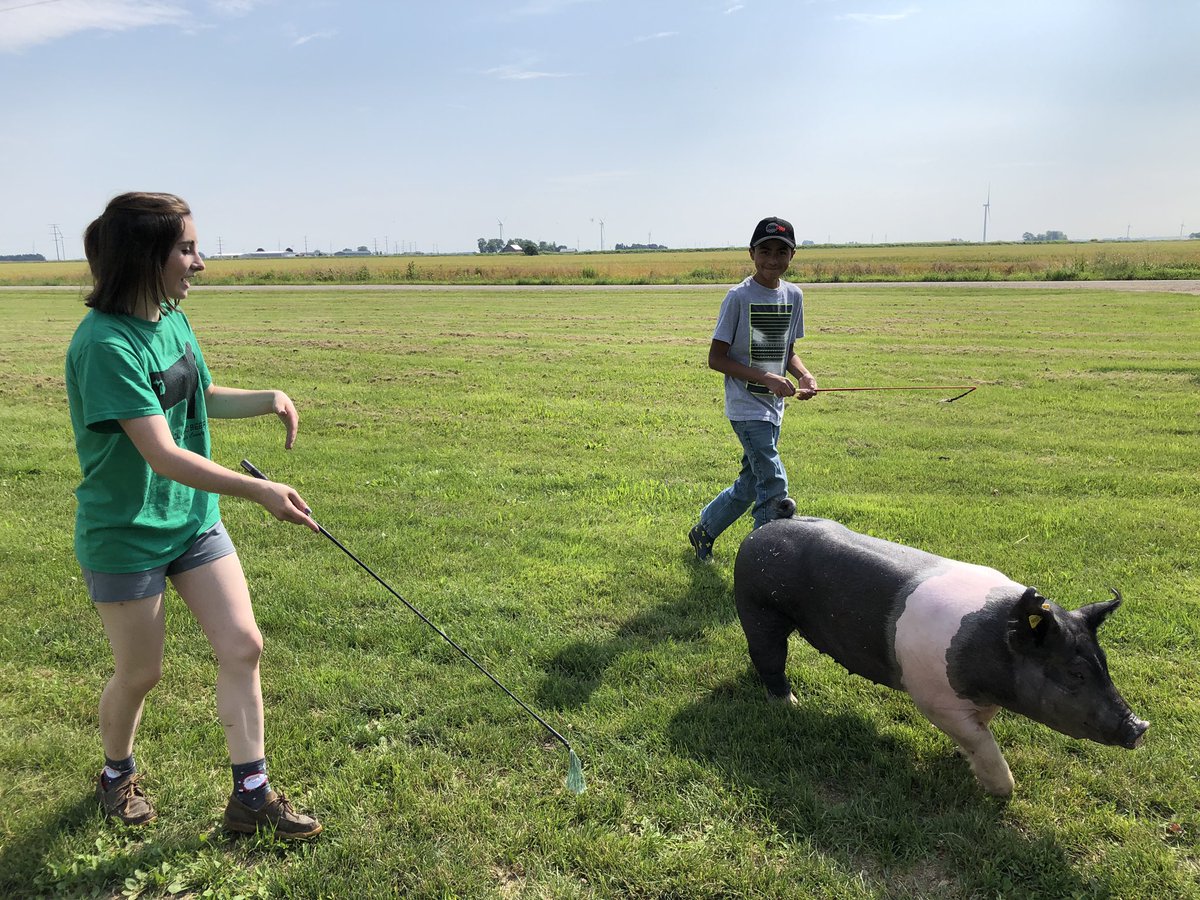 alanthomasgreen's tweet photo. .@usa_ffa members collaborating on their summer SAE projects. TY @BatesDalaney for providing insight + direction for a first year showman. HuCo Fair here we come! #TeachAg #SAEforAll https://t.co/OTZhRjYnJN