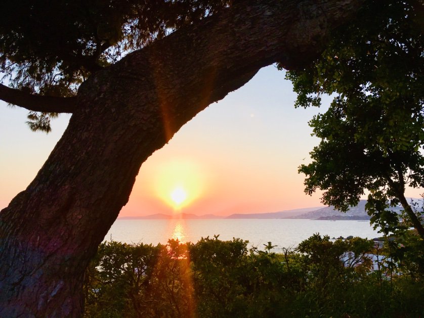 At Athens Rivierap - great summer incentive &amp; event\meeting destination 👍🏻☀️🏖 
#eventprofs #greece #athens #athensriviera #resort #hotel #travel #events #meeting #weddings #destination