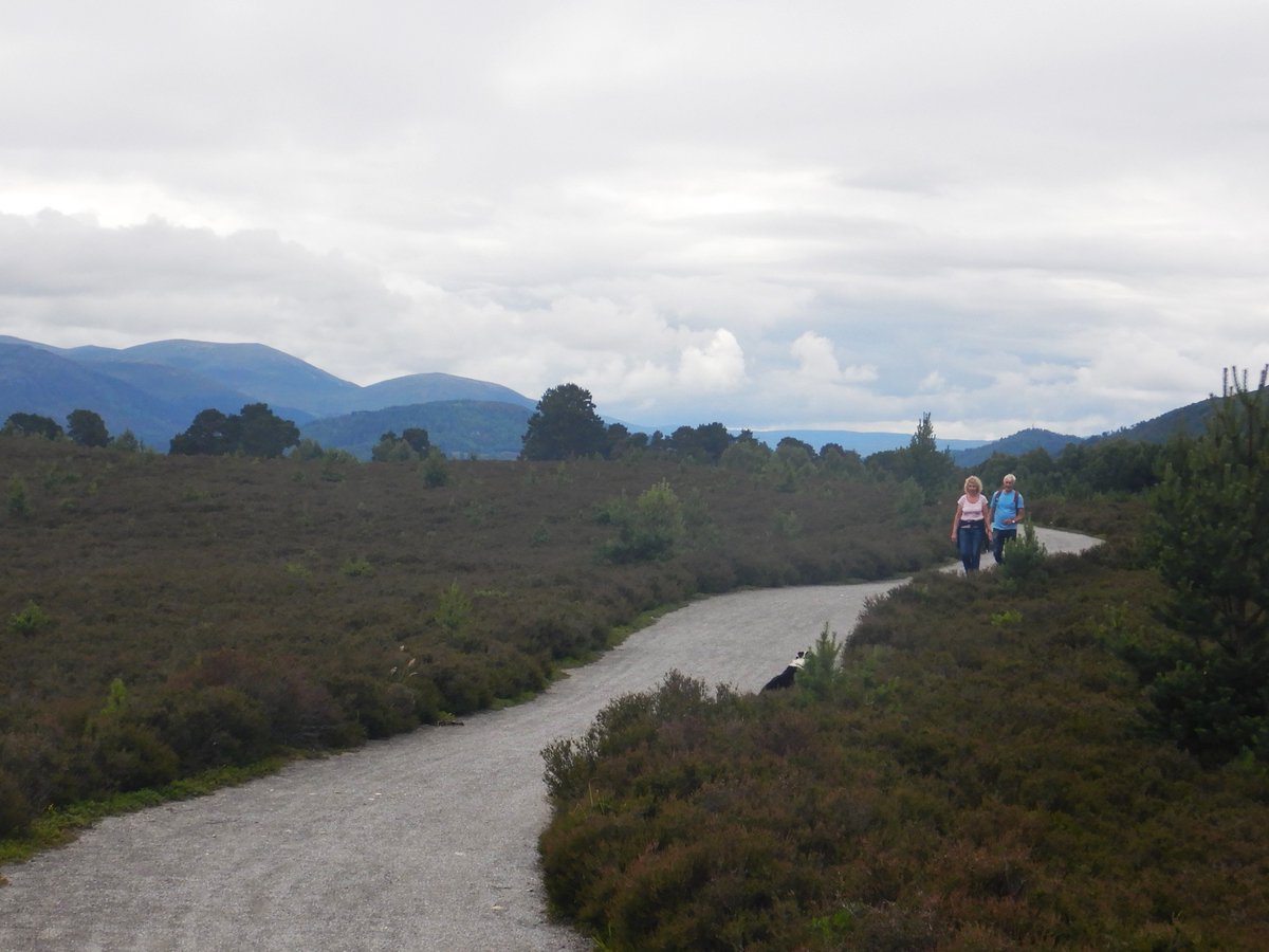 PeteCrane5's tweet photo. Great to see so many people out enjoying #Cairngorms walking and cycling; #SpeysideWay, #NCN7 and #OldLoggingWay - the only path I had to myself was the new (part built) multiuse one next #A9 that has yet to link #Kingussie & #Aviemore & then hopefully on to #Carrbridge. https://t.co/vYMQfKTpFo