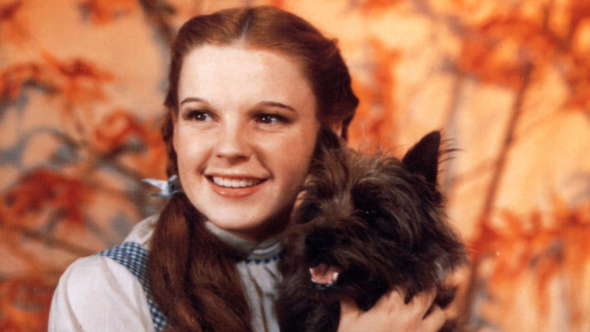 LNKhealth's tweet photo. #LNK #OnThisDay in 1939, The Wizard of Oz premiered! Stay away from Tobacco smoking, my pretty, before it gets you and your little dog too! #TobaccoFreeNebraska #NoEcigs #NoVapeZone #QuitTobacco https://t.co/Q78VcXL2G0