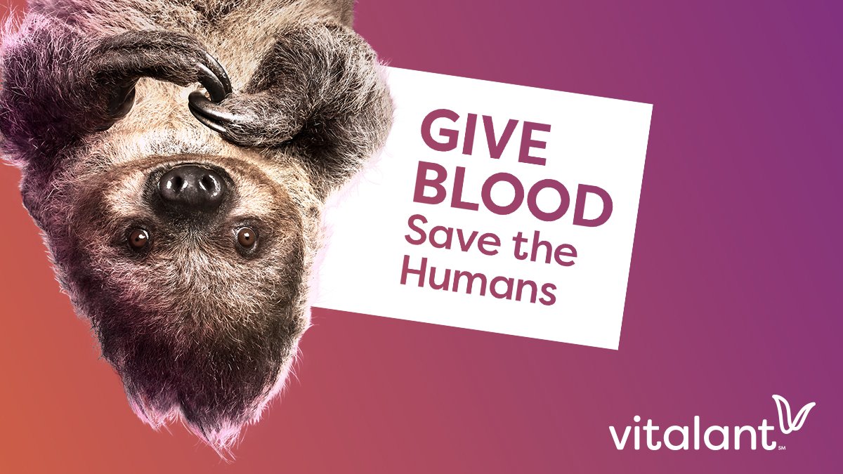 VitalantCA's tweet image. It’s a good thing I don’t donate blood, I’d never get to my appointment on time. But you can! Making and keeping your appointment to donate is the bees knees and an important part of transforming lives. #SaveTheHumans vitalant.org/savethehumans