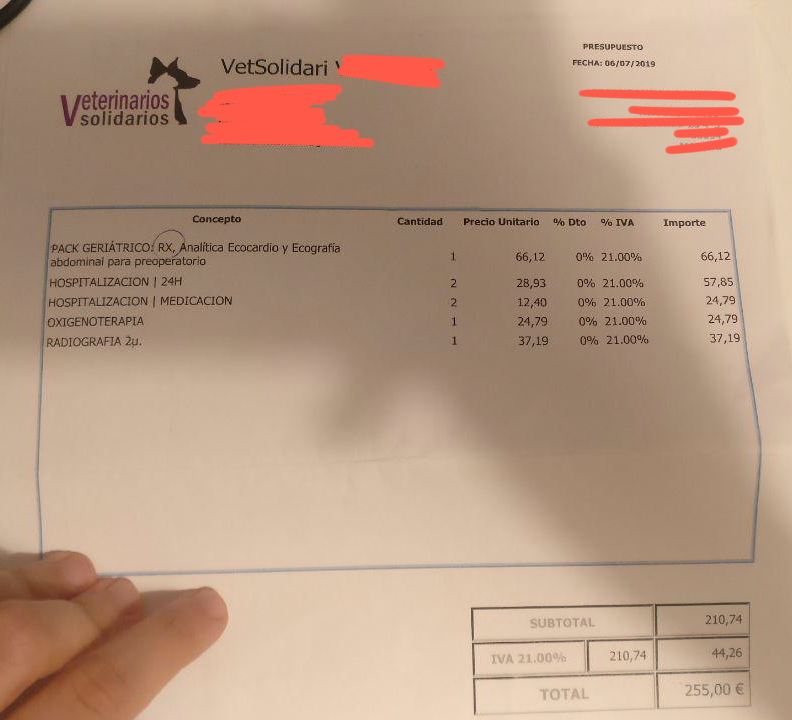 SourKylo's tweet photo. ⚠️ RT ⚠️
Mi gata se ha caído de un 4o, resultando en fractura de pata, mandíbula, paladar, anemia y fallos en el hígado. Me sabe terrible pedir esto pero estoy en una situación económica malísima en este momento, lo poco que tenía ahorrado para poder mudarme está yendo para Noah https://t.co/3GqfJM6My6