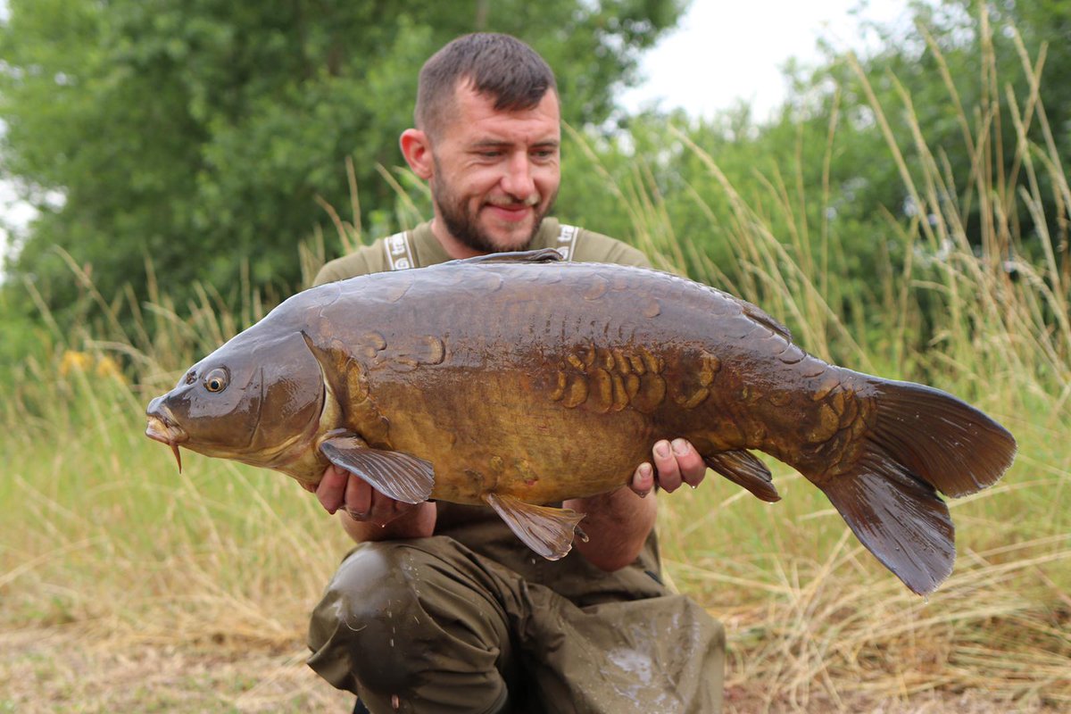 chillycheal's tweet photo. 'Dead to the world's 24lbs. 18ft zig. @GiganticaCarp 

#mainlinebaits
#jprecisionhooks 
#trakker https://t.co/vx7W1bSZ0v