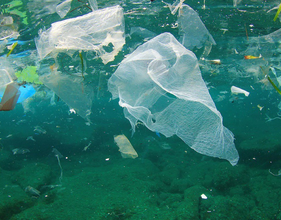 Dedi4me's tweet photo. ECOPOTS crea vasi e fioriere, per interni e esterni, prodotti in #plastica #riciclata (65%) e polvere di pietra (35%). 
Il marchio ECOPOTS è stato progettato pensando alla sostenibilità dal principio. Se ami le piante e l'ambiente,
Visita il nostro sito.
https://t.co/UpMNI5qV4M https://t.co/yALmbLF4m6
