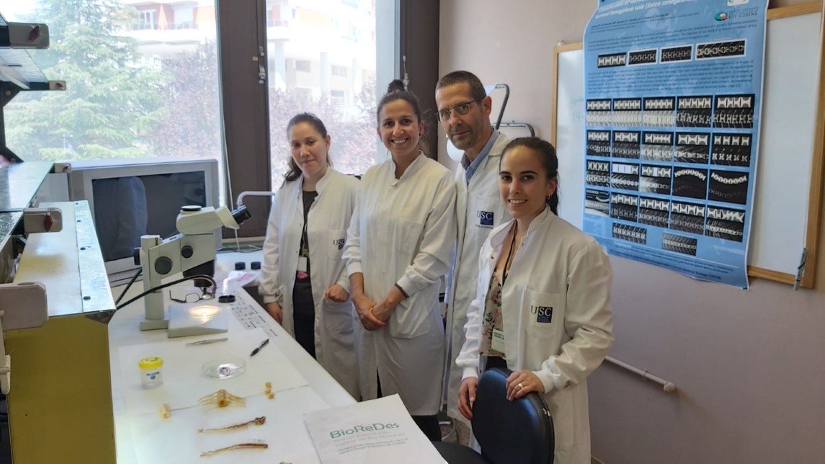 BioReDesUSC's tweet photo. 🔬Terceiro día! Os e as participantes en BioReSuS continúan traballando nos seus proxectos de investigación 🤓 O martes tiveron a oportunidade de escoitar na Casa do Saber á profesora Mª Paz Ondina, quen lles falou do estraño caso do mexillón autostopista. #BioReSuS19 https://t.co/pOZU8cbA8U