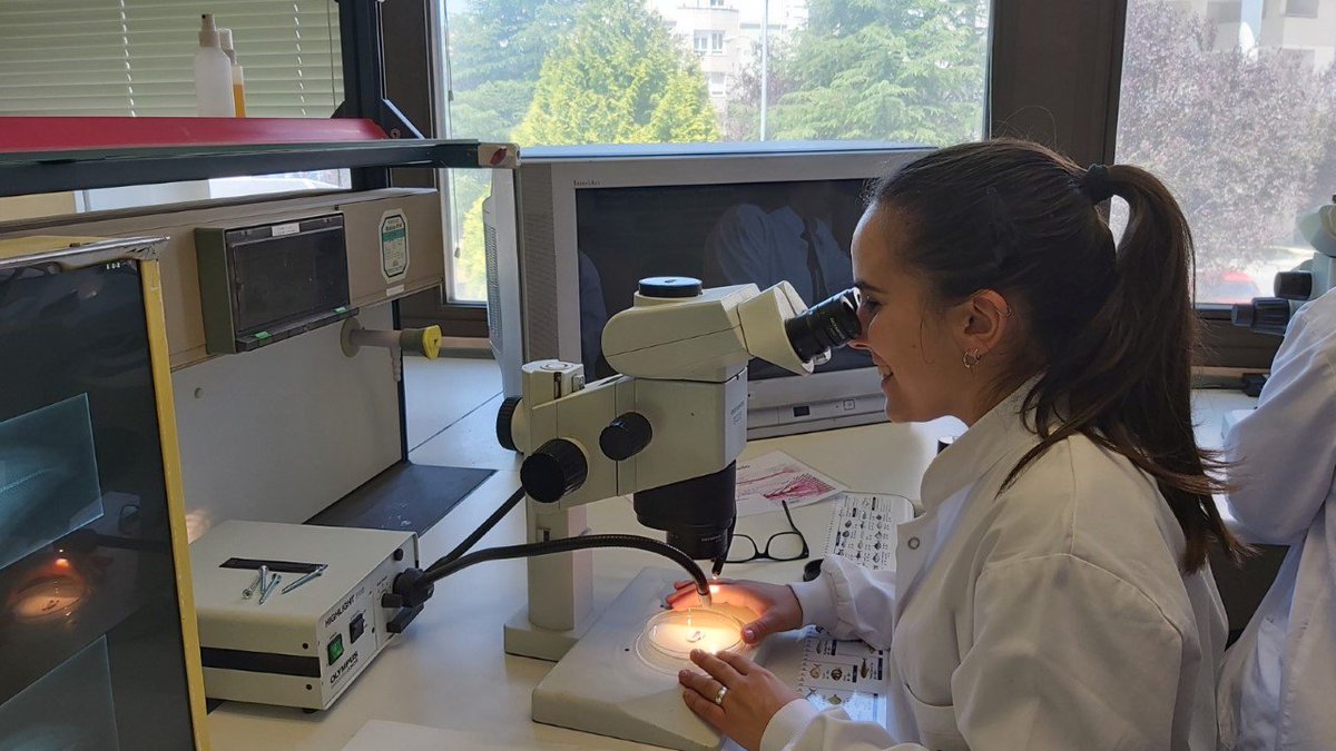 BioReDesUSC's tweet photo. 🔬Terceiro día! Os e as participantes en BioReSuS continúan traballando nos seus proxectos de investigación 🤓 O martes tiveron a oportunidade de escoitar na Casa do Saber á profesora Mª Paz Ondina, quen lles falou do estraño caso do mexillón autostopista. #BioReSuS19 https://t.co/pOZU8cbA8U