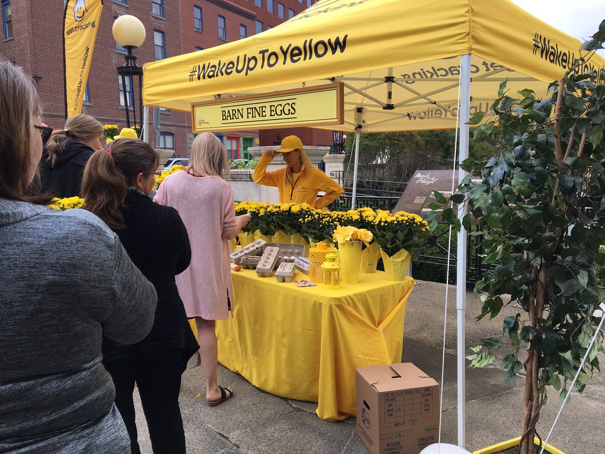 Newfoundland Eggs tweet media