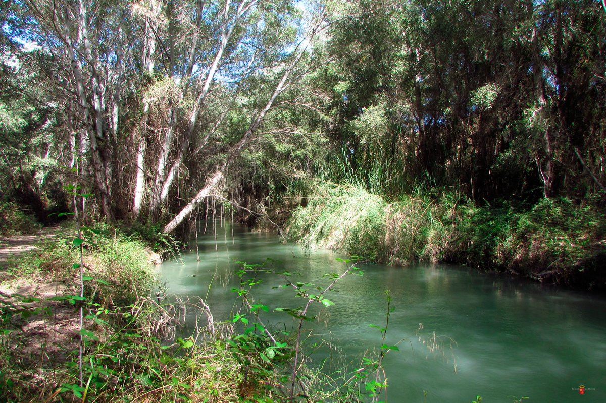 El mes pasado más de 100 personas conocieron la #SendadelaHuertecica 🏞️ a través de la #yincana fotográfica 🗺️📸 propuesta en la #mochiladeactividades 🙌🙌😁 ¿Qué no la conoces 😮? Se encuentra en #CañaverosaRN y puedes 📥 su folleto autoguiado aquí 😉👉 bit.ly/2o46put