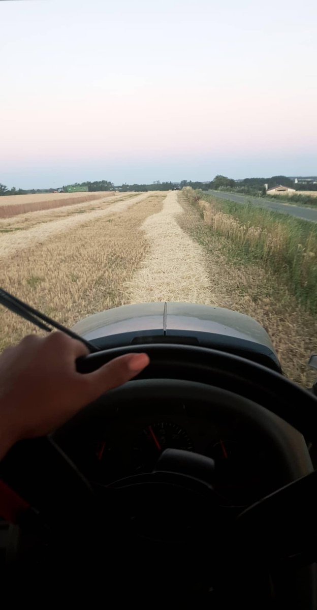 PPorcineo's tweet photo. Hier soir, dernier jour de vacances. Un copain m'appel car personne pour rouler la 2eme remorques. 
Je file à la ferme et me voilà a finir ma nuit sur le tracteur a rouler le triticale de Vincent. 🚜🚜

#cereales #agriculture #moisson2019 #tritical #àmesdernieresheuresdevacances https://t.co/O5wnO94fW0