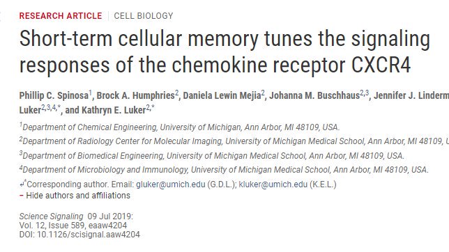 UMRogelCancer's tweet image. New multidisciplinary work from @LabLuker in @scisignal &quot;establishes how changing environmental inputs modulate CXCR4 signaling in single cells and provides a framework to optimize the development and use of drugs targeting this signaling pathway.&quot; stke.sciencemag.org/content/12/589…