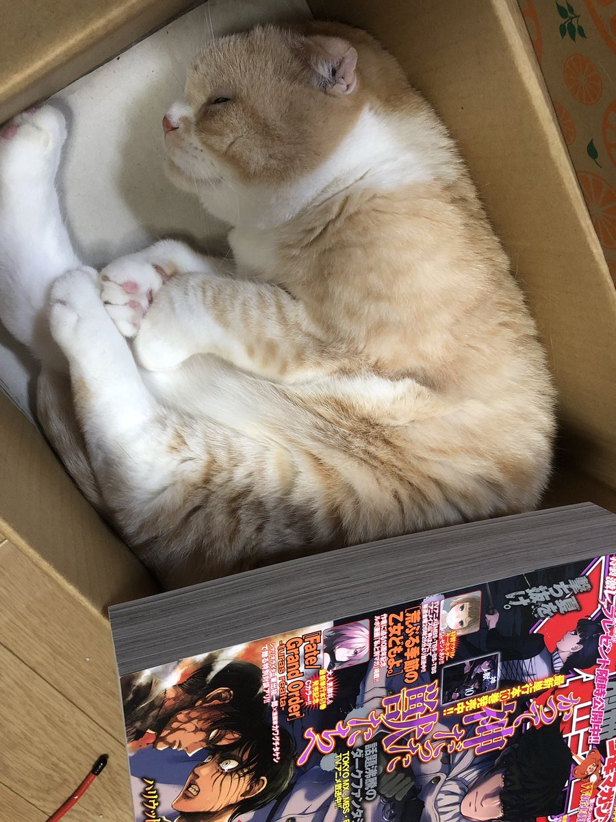 תג 進撃の巨人119話 בטוויטר