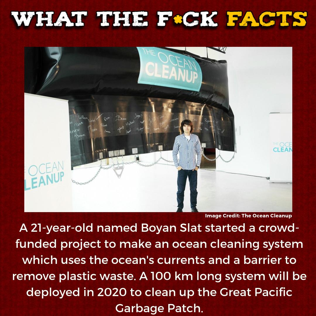 WhatTheFFacts's tweet photo. https://t.co/HCPGZVfx8o