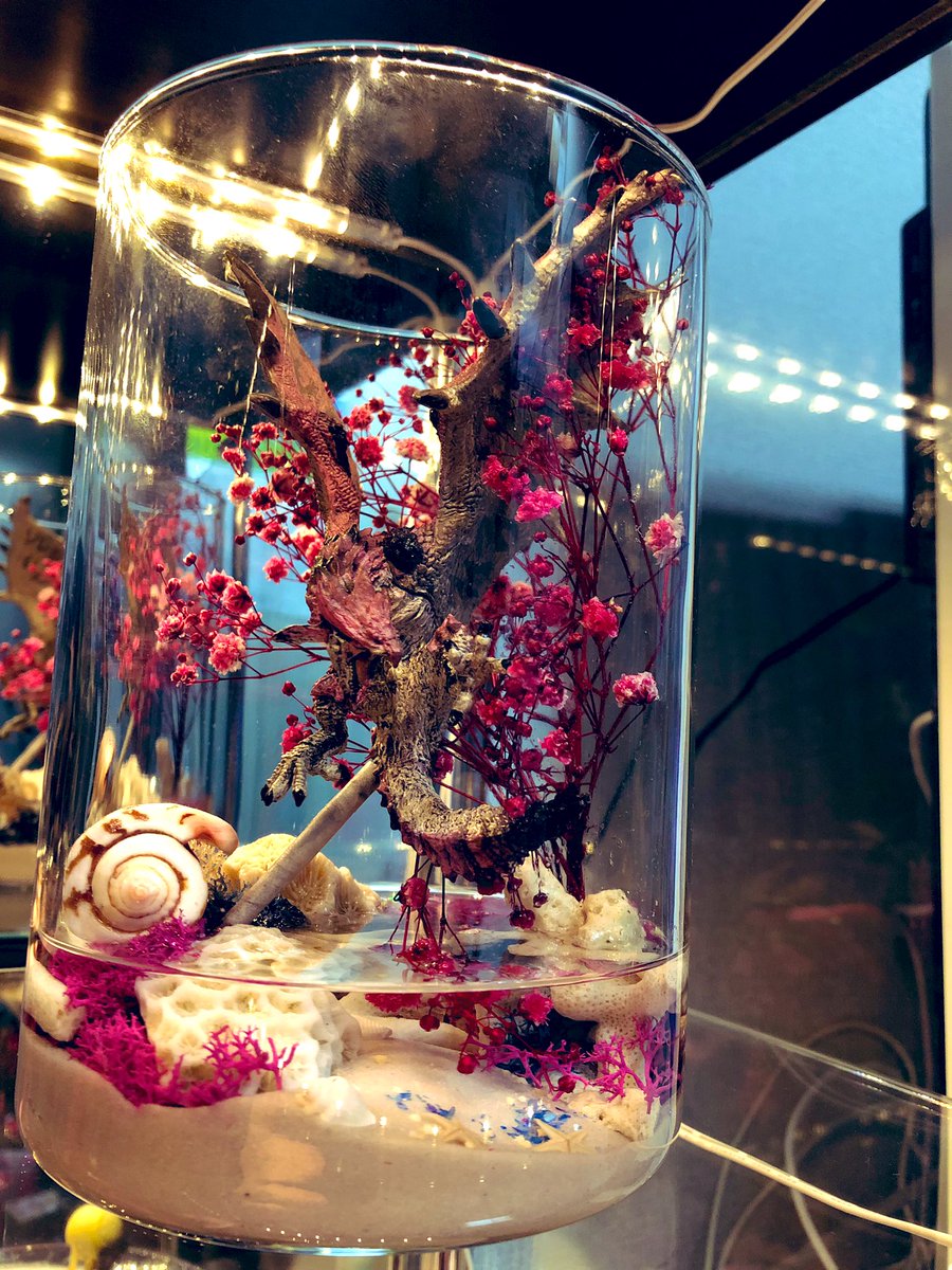 柴犬 En Twitter 結構前に作ったモンハンのジオラマ 陸珊瑚 ぽいの をイメージ ジンオウガ好きだからジオラマ作りたいけどいい感じのイメージが思いつかない てかyoutube見てたらモンハンやりたくなってきたなーまた買おっかなー リオレイア亜種 モンハン