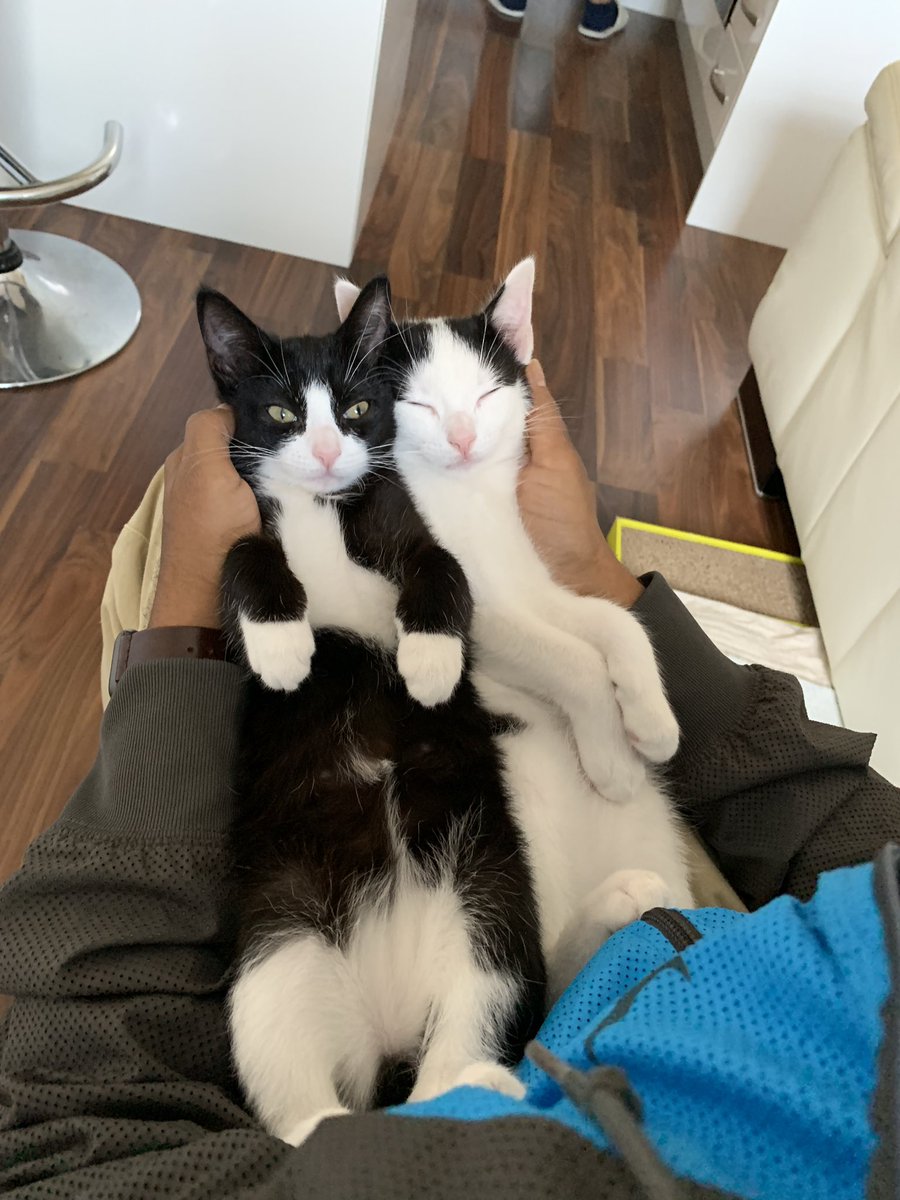 AsianChemNerd's tweet photo. @MillennialProf_ Any excuse to show people my babies 😅 https://t.co/VJJBJmFY6c