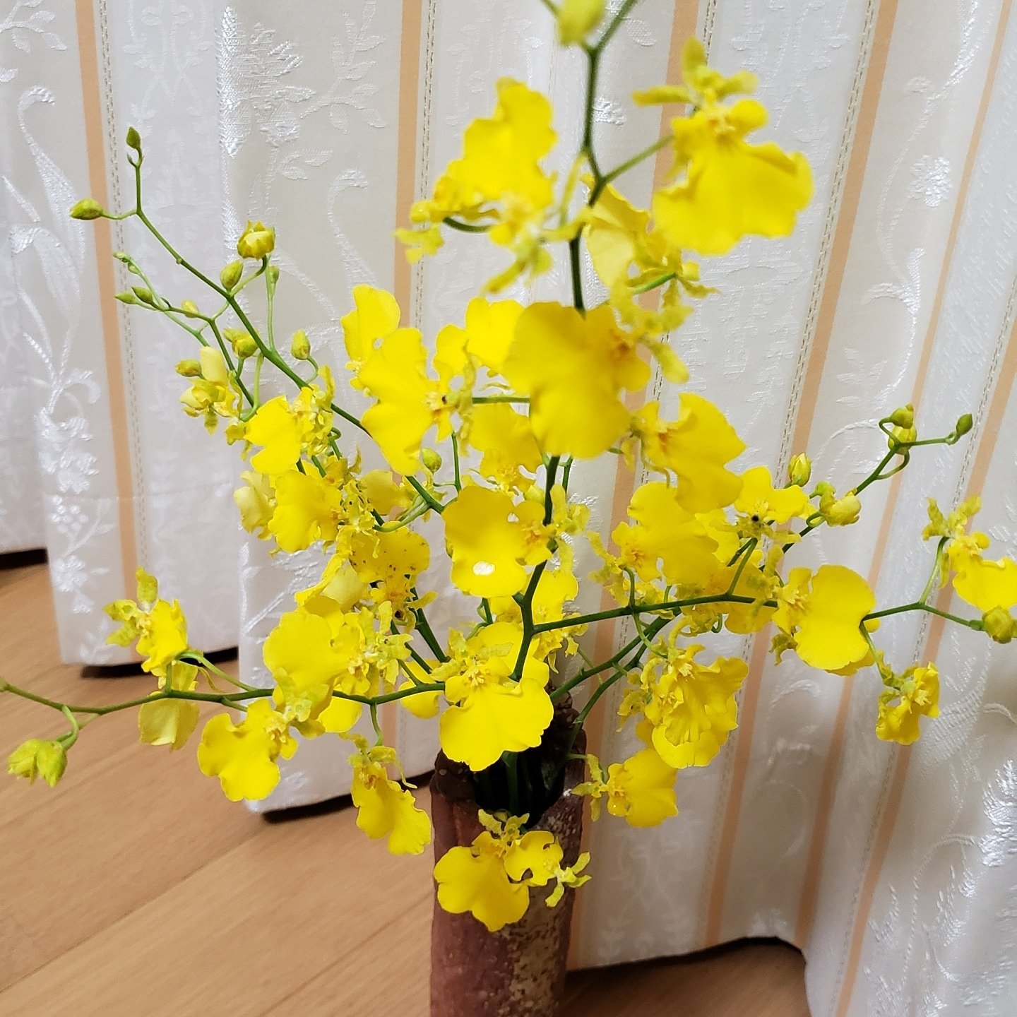 Mizuki Sano オンシジューム 花言葉は可憐 一緒に踊って 協調 蕾のままでいて 清楚 気立てのよさ 野心的な愛 少女みたいな奔放さをもちつつも 大人の女性になっていくような そんなイメージ W オンシジューム 花のある暮らし 癒し