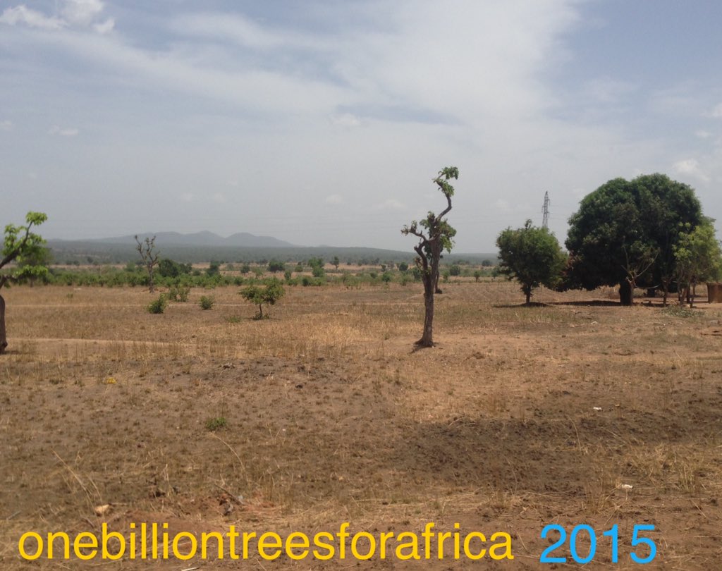 Momentum_UNFCCC's tweet photo. We love following the #OneBillionTreesforAfrica project @TabiJoda1 🌱

Great to see such wonderful progress — trees are one of our greatest allies in the fight against #climatechange! https://t.co/VZQHkerl8J