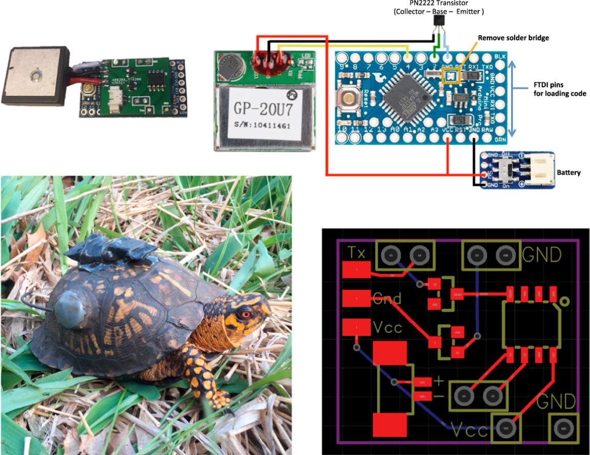 HardwareX1's tweet photo. Pattrick Cain &amp; M. Cross from @GGCSST &amp; @ToledoZoo published "An #OpenSource hardware GPS data logger for wildlife radio-telemetry studies: A case study using Eastern box turtles." The #Arduino based #AnimalTracker is inexpensive #OpenHardware for #Zoology https://t.co/LOYgAJblgM https://t.co/9uMedYCWcm