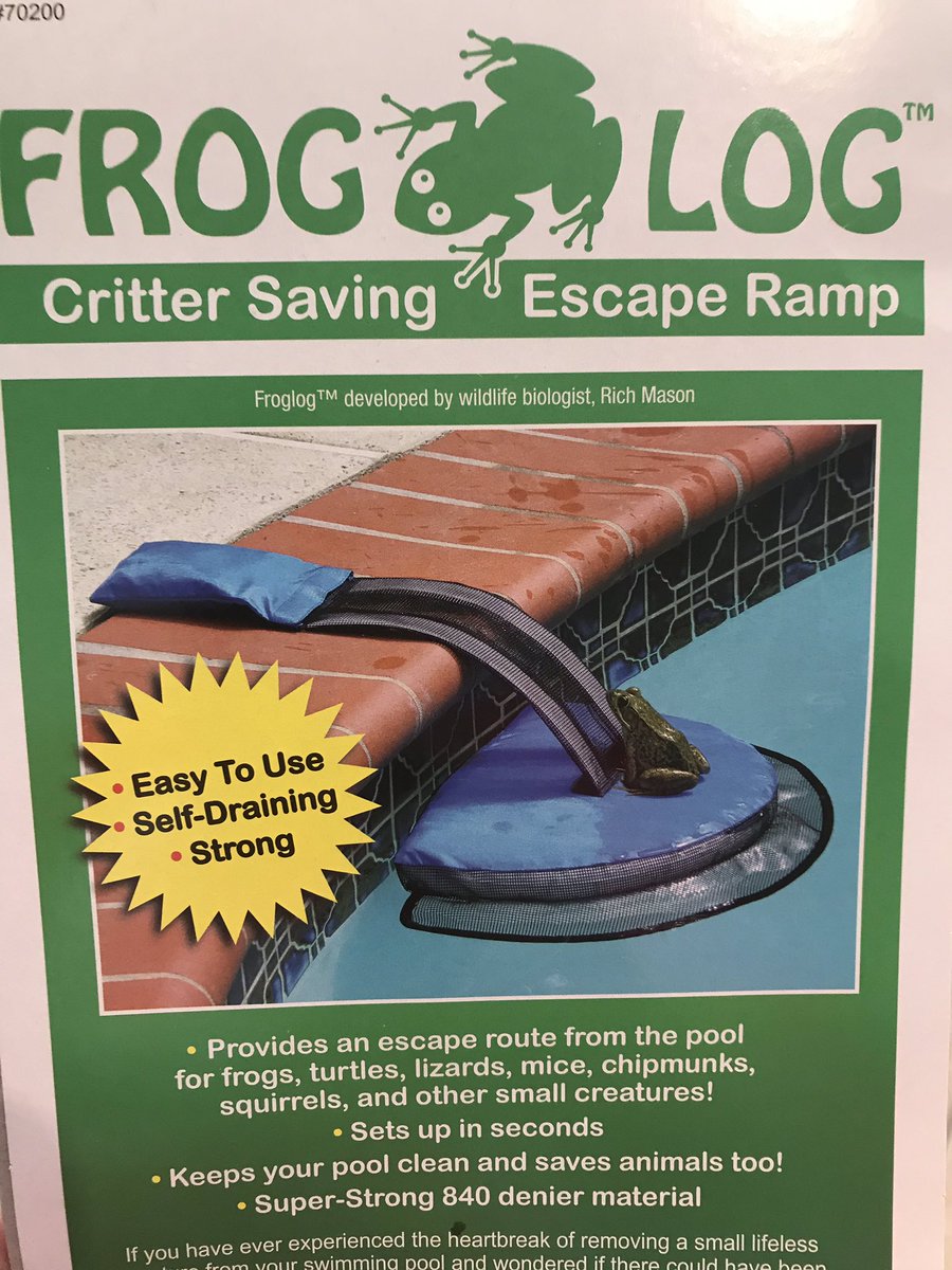 AndreaGirones's tweet photo. Itโs baby frog season again letโs see if this helps save a few of them! #froglog https://t.co/9G40wm83j8