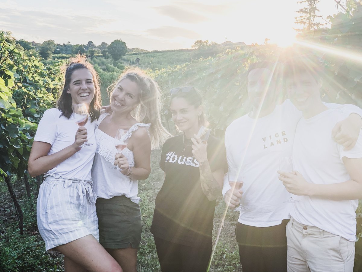 Unser Büro am letzten Freitag. #virtuewandertag #büroamlimit #mödling #husarentempel #schottenheurige