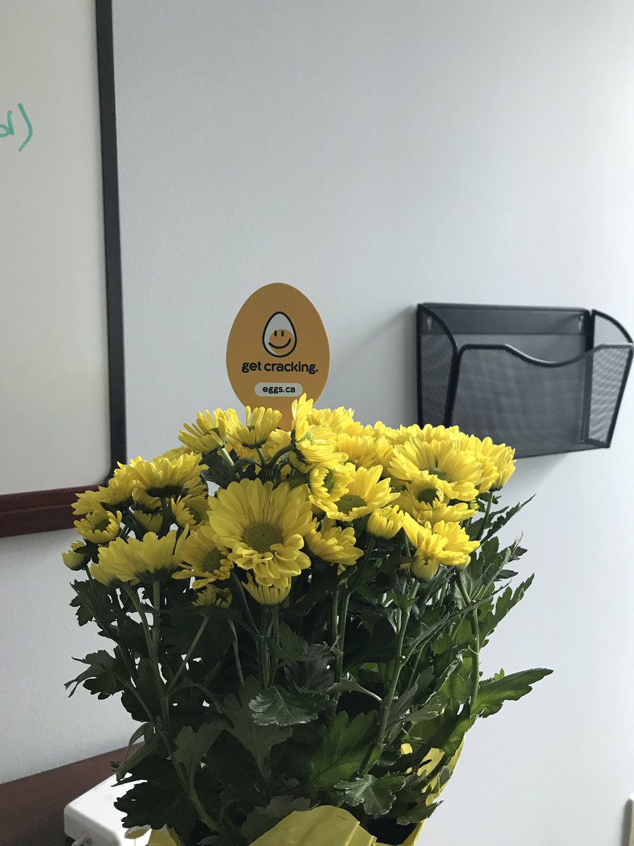 Shane Skinner tweet media