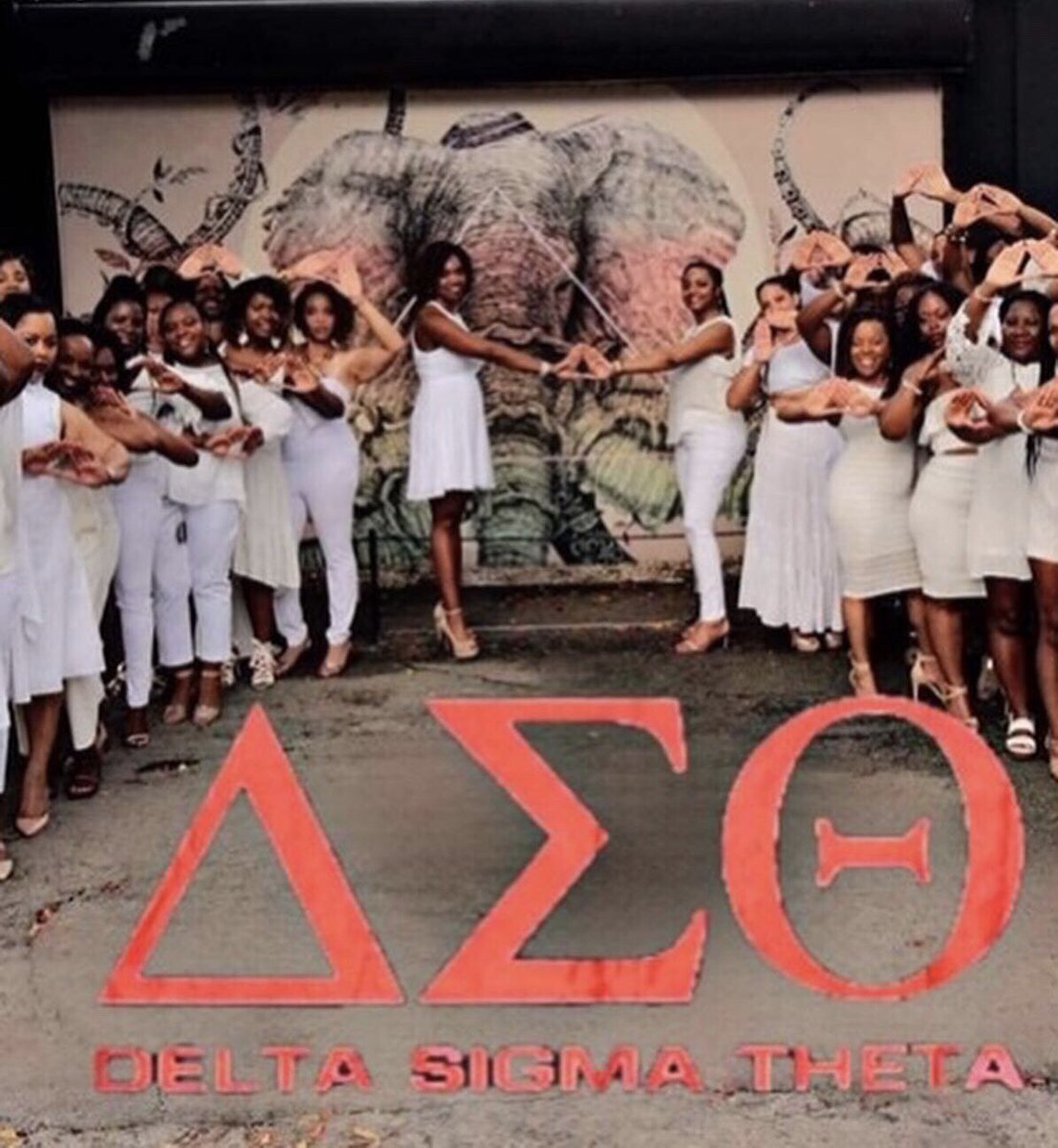 CmjAyyye's tweet photo. #deltasigmatheta
#gramblingstateuniversity
#gramfam #aoml #deltaiota #gramchella #redz #dst #di99miaheat #Spr99 #hbcu https://t.co/oWkvotBrVO