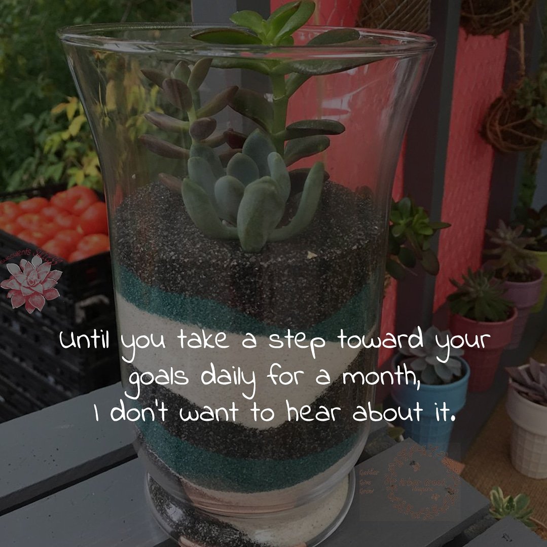 #Until #you #take a #step #toward #your #goals #daily for a #month, I #don't #want to #hear #about #it #succulents #success #quotes @ArborCreekNiag - Like for more success - Follow us for more success quotes @SucculentsSucc1