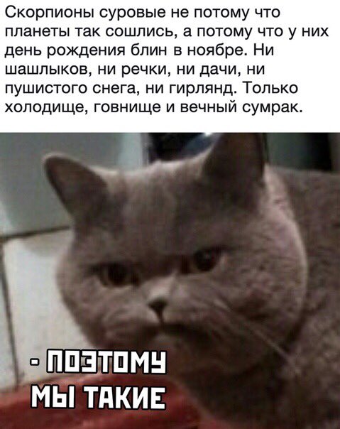 Когда жил 18 лет со скорпионом в одной квартире и понимаешь всю суть этого существа