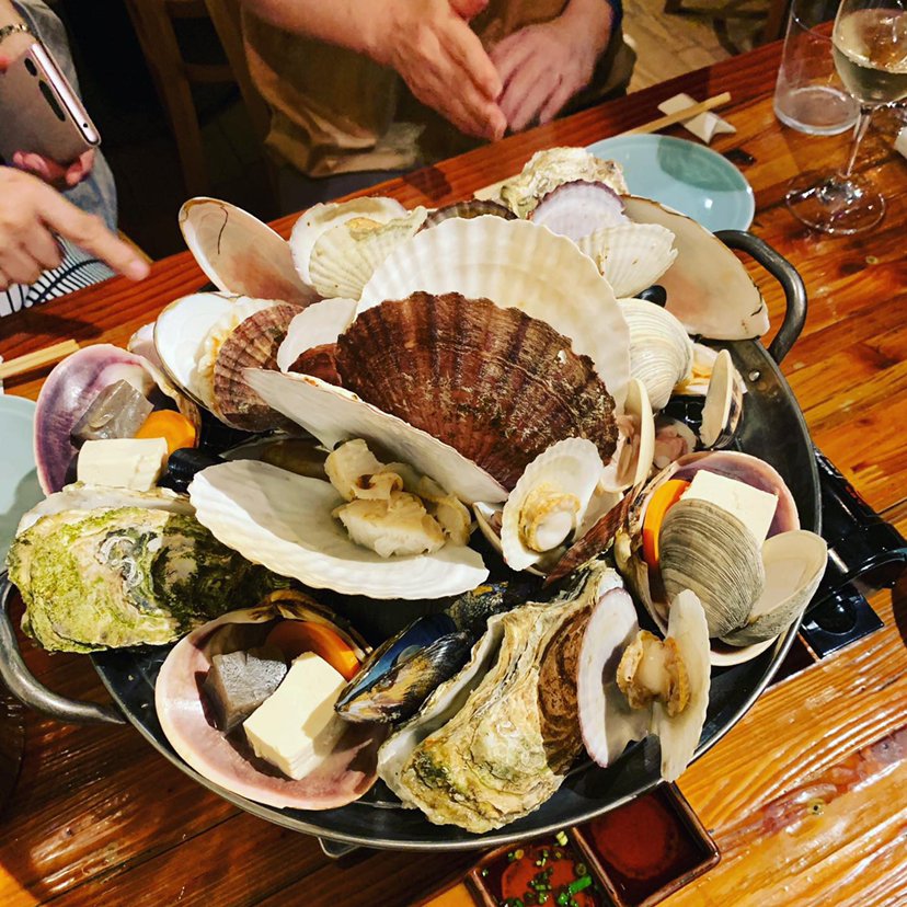 シェルハラ シェルハラ