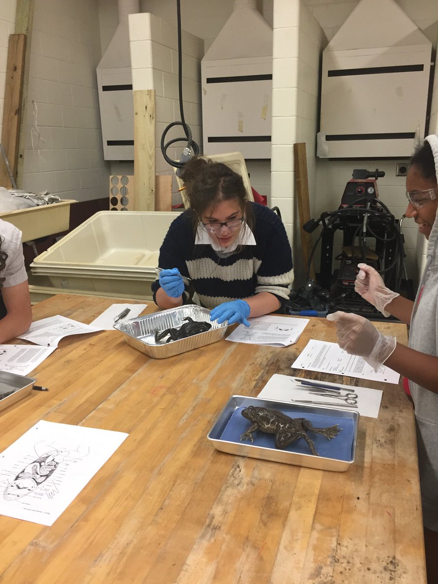 kjohnso_science's tweet photo. “That’s so COOL!!!!” It’s dissection day!!! 🐸🥽#jumpstartbio2019 https://t.co/2PBpwTPwQE