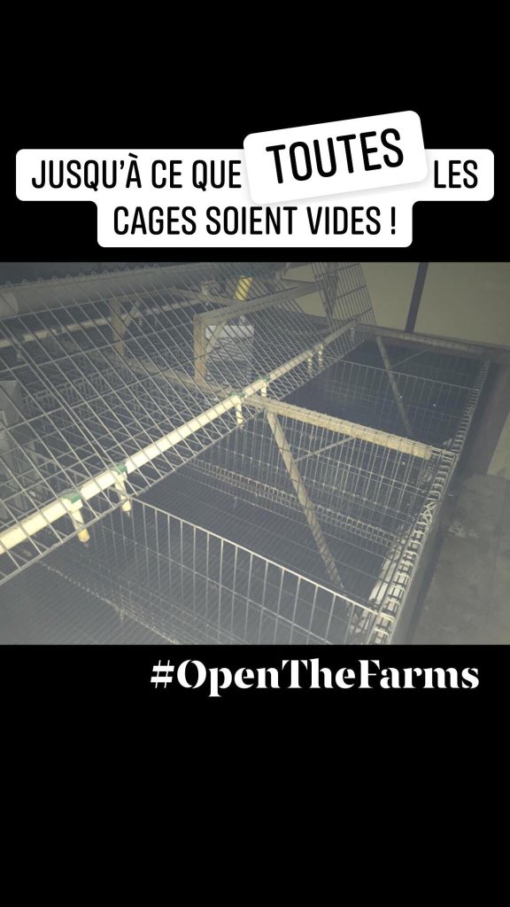 OpenTheFarms's tweet photo. Nous allons abolir l’élevage car c’est indispensable.
#ÉlevageAbolition #LélevageTue #StopZoocide #AssistanceàPersonneEnDanger #AssistaneàPersonneEncagée #Animals https://t.co/Z9CVJZ6pBk