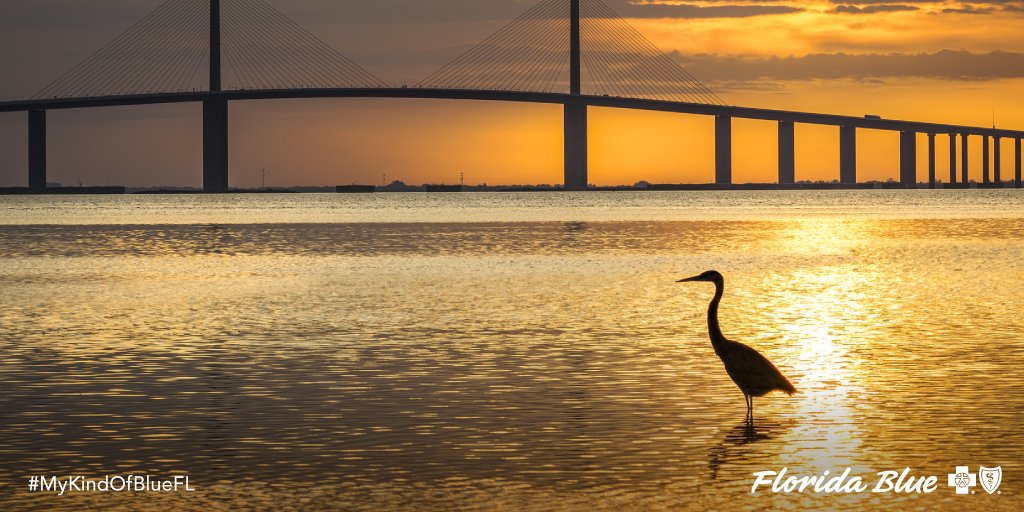FLBlue's tweet photo. Being in nature, or even viewing scenes of nature, can help reduce anger, fear, and help with stress management. Exposure to nature not only makes you feel better emotionally, it contributes to your physical wellbeing. #WellnessWednesday . #Explorida https://t.co/NV15VJwjMc