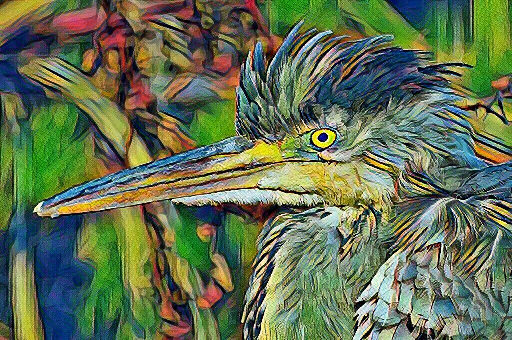 #deeparteffects #art #photofilter #digitalphotoart #digitalart
#nature #bird #birdxtreme #birdstagram
#heron #egret 
#japan
#加工写真
#自然 #野鳥 #鳥 
#鷺 #アオサギ
#岡山 #井原