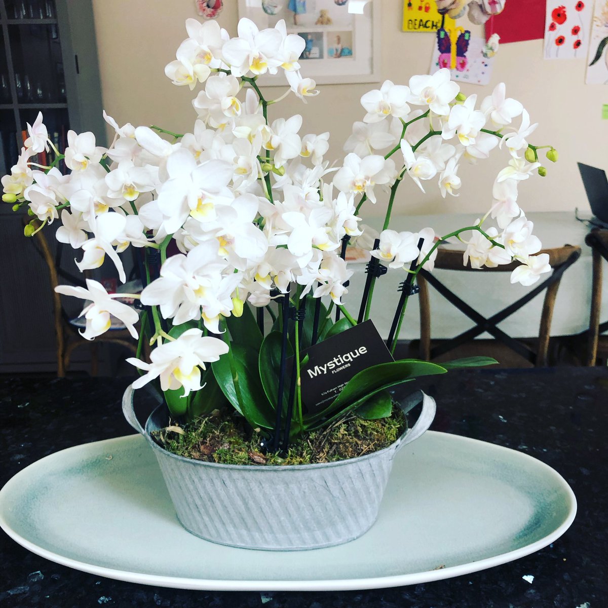 FocalFulham's tweet photo. Beautiful end of term present from parent’s at my daughters school from #Mystique florist on #Fulham High Street. https://t.co/eW5XddzvuB