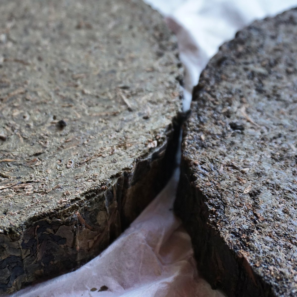 ExquisiteLeaves's tweet photo. Two slices from different logs of #QianliangTea that have developed diferent tastes. The one on the left has more woody notes, while the one on the right is more fruity. Both share #AnhuaDarkTea 's unique #pineresin aroma. 🍵🌿👌 https://t.co/lhq2EqU1z5