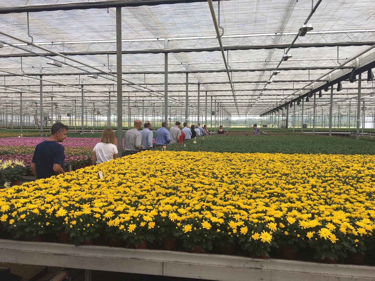 AHDB_Hort's tweet photo. Delegates having a look through the growing media trials at Double H Nurseries as part of the responsibly sourced growing project https://t.co/YH2NL4Xa8R