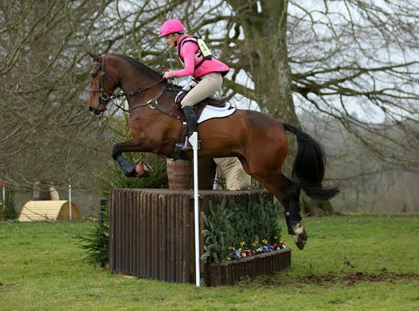 HRPEquestrian.com tweet media