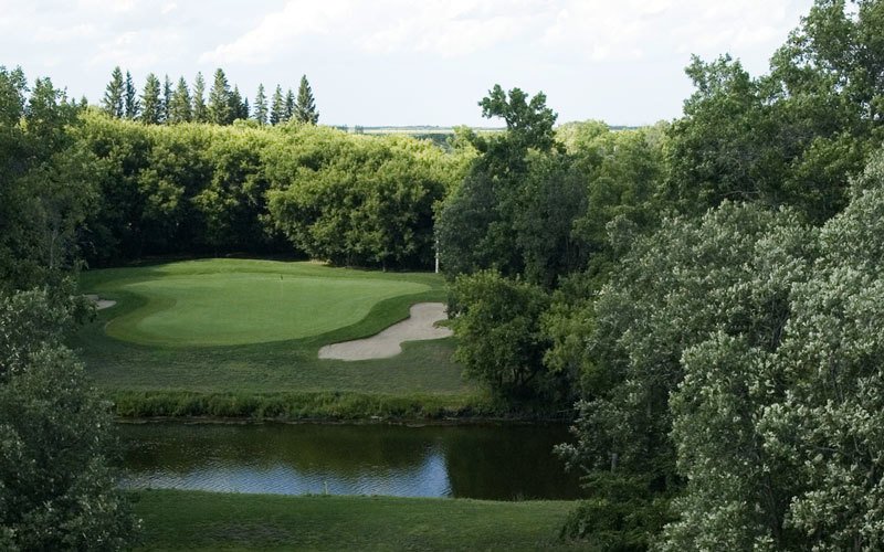 WinnipegHumane's tweet photo. Week 2 of our WHS Online Summer Raffle is here! Buy before Friday and have 4 chances to win some HOT prizes. This week’s prize is a Golf Package for 4 at Kingswood Golf and Country Club. Hit the links with some friends and enjoy the weather! https://t.co/409v6jT5nD https://t.co/KiUc1Fxx6g