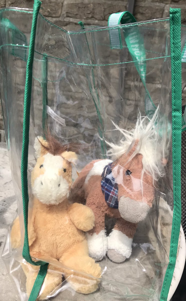 kanzleipony's tweet photo. Oh. Wir haben wohl eine neue „Very important Pony-Transport-Einheit“ (ViPTE). *Schnaub #werimGlashaussitzt #lächelnundwinken #dankeScheff https://t.co/IGxvObIvw9