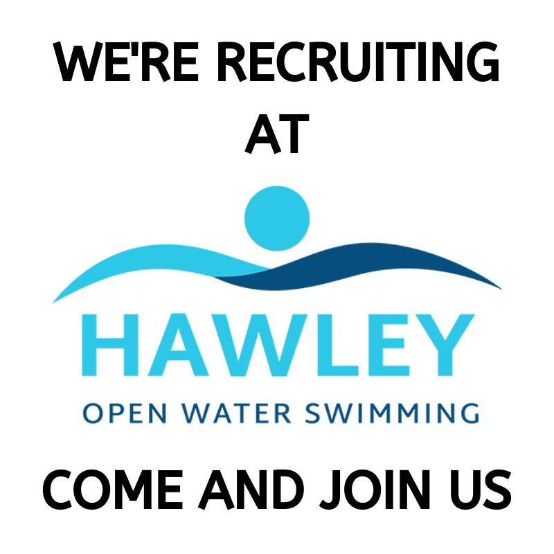 Hawley OWS tweet media