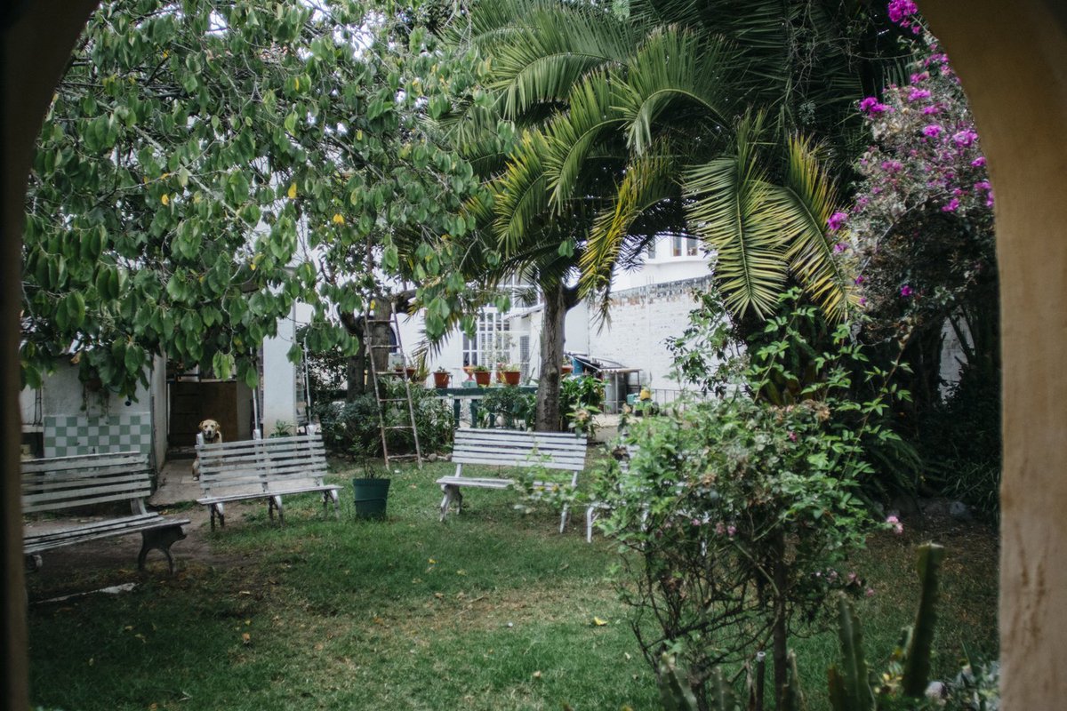 nataliag37's tweet photo. Mi hermana ha hechos estas fotos de la casa de mis abuelos vacía. Este año dejará de existir y es un poco como el fin del mundo. https://t.co/zmDphlZsjY