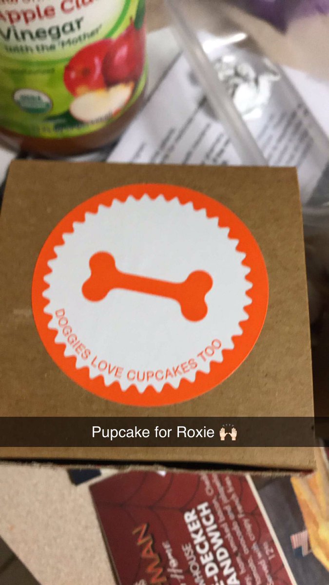 DFWRoxie's tweet image. .@sprinkles are the best! They have little ‘pupcakes’ 🤤 #AdoptDontShop #MansBestFriend #GSDofTwitter