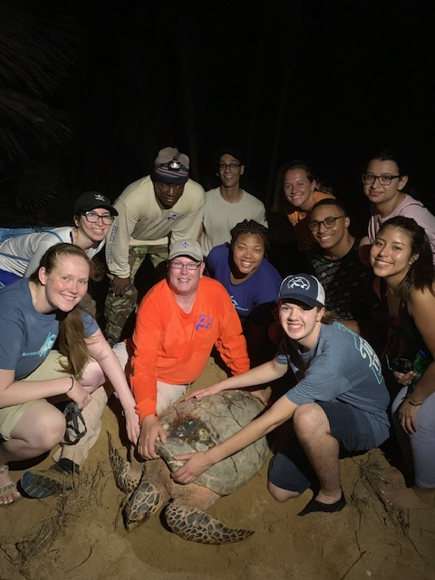 MarymountSsme's tweet image. It&apos;s Turtle Time! Check out the turtle tagging by our @marymountu faculty and students! #SaintsServe #TurtleTime
