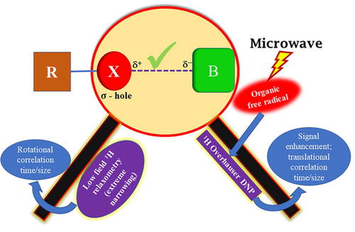ACES_Journals's tweet photo. N. Chandrakumar et al. @iitmadras probed the #motionaldynamics of halogen-bonded complexes by low-field #NMRrelaxometry and Overhauser dynamic nuclear polarization. #halogenbonds https://t.co/XxZRiNx5Td https://t.co/jz4rvqmiHl
