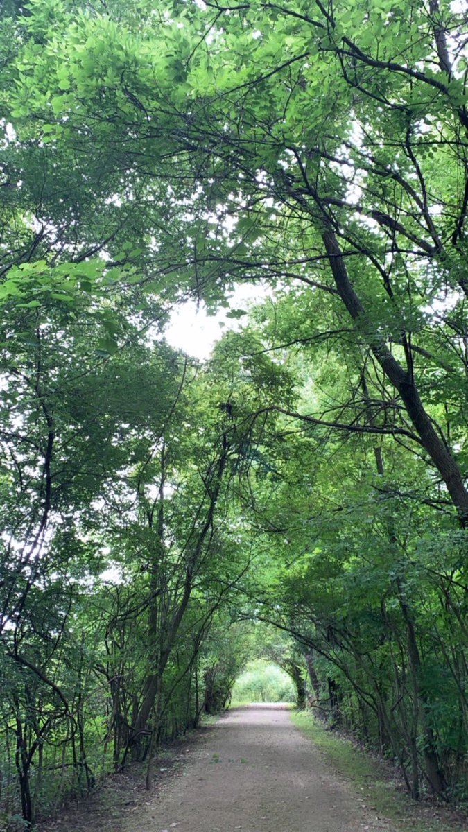 AnneMarieWTHR's tweet photo. My fav place to walk
#getoutsidegrowinside https://t.co/FZQJwaJRiP