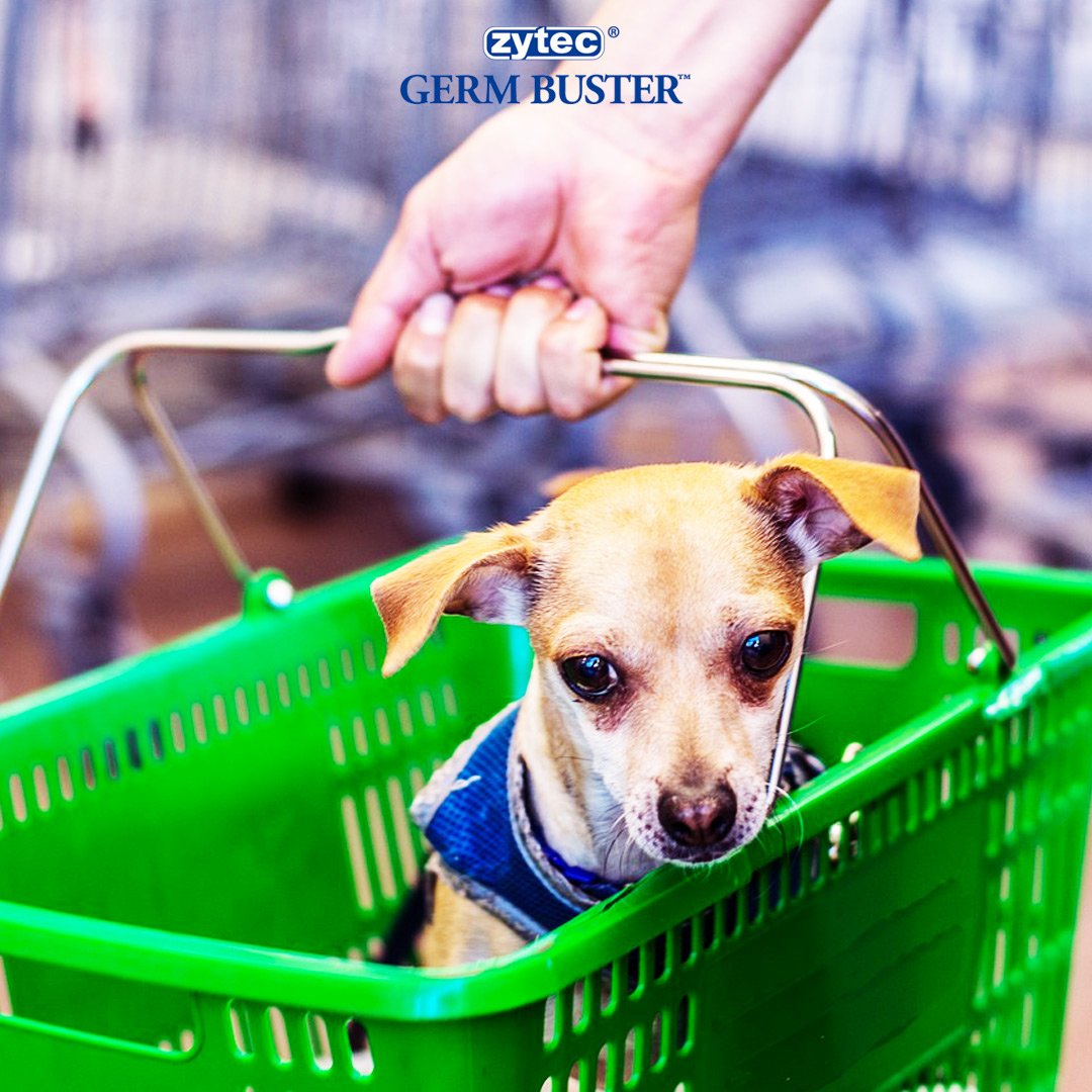 zytecgermbuster's tweet photo. When shopping you may be making yourself sick by carting around germs and bacteria. zytec Germ Buster Sanitizer Spray is extra strength and available in small travel sizes to make it easy and convenient to take anywhere. #clean #sanitizer #dog #spraysanitizer https://t.co/rgi3Q4h1GL
