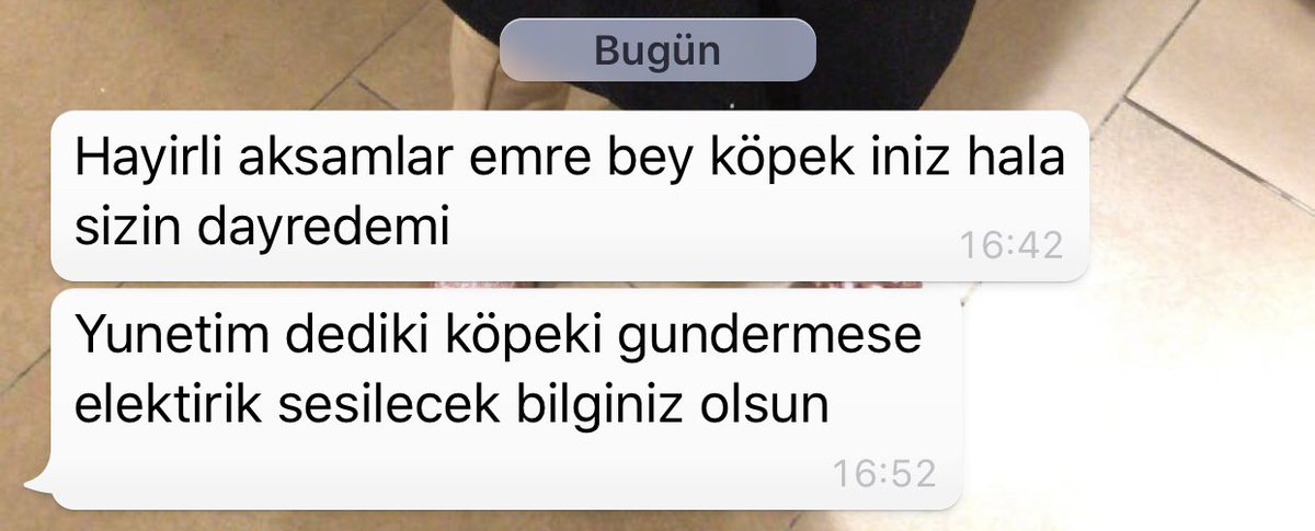 4 aylık küçücük bir köpeğe laf edeceğinize ilk önce türkçe konuşmayı öğrenin allahın ayıları
