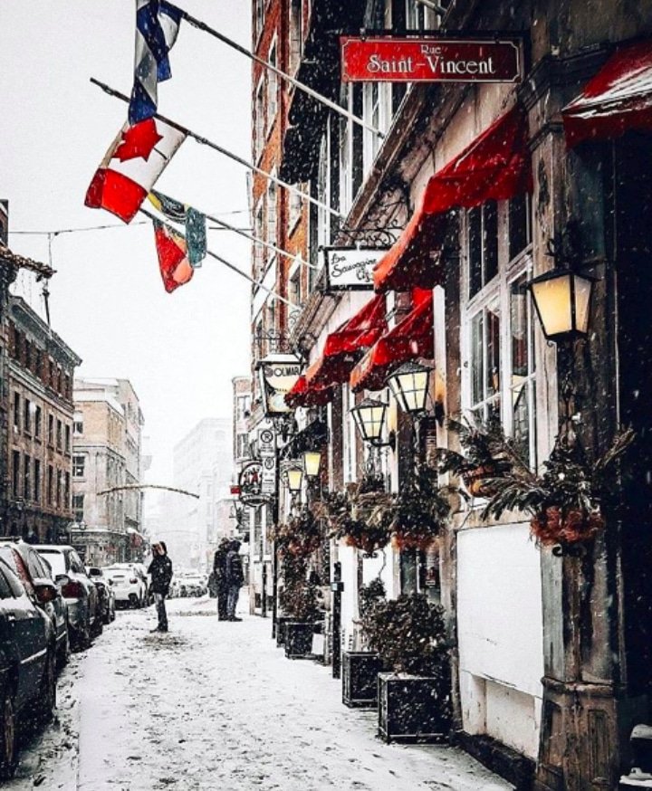 Kışı özleyenler? ☃️❄🦌🇨🇦 #Winter #Snow #Montreal #Quebec #Türkiye #Kış #Kar #Tbt